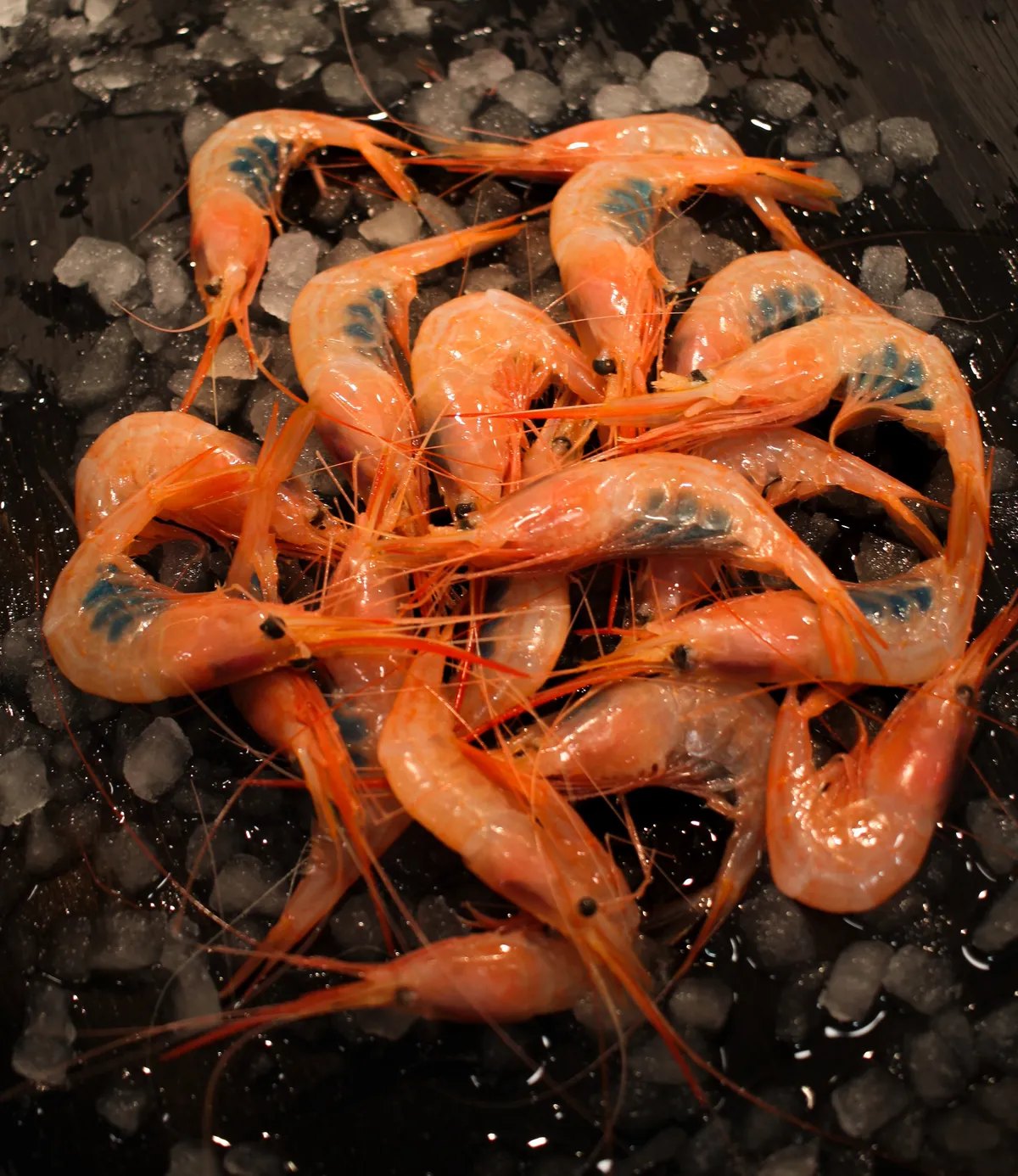 Gambas Pantxuda