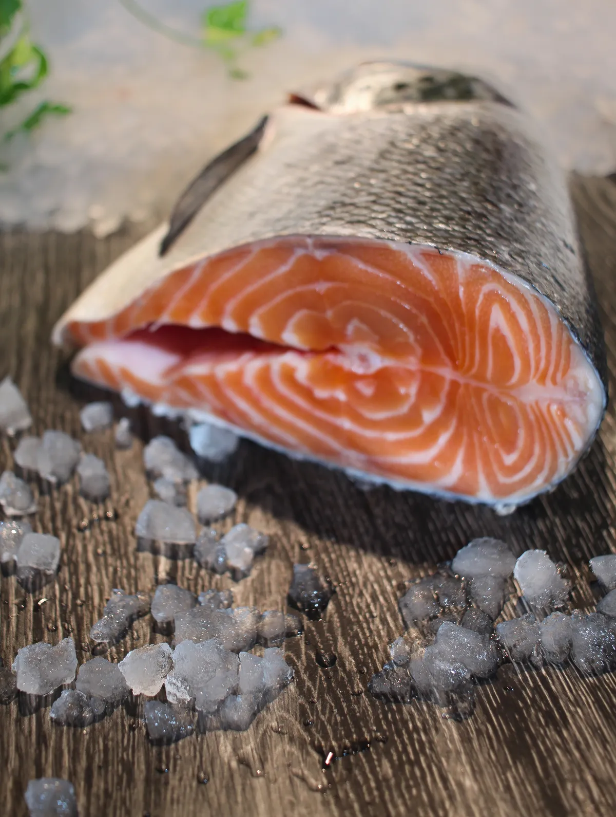 Salmó